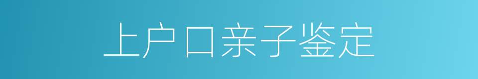 上户口亲子鉴定的同义词