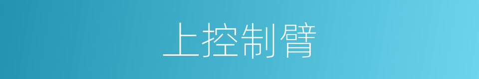 上控制臂的同义词