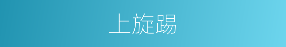 上旋踢的同义词