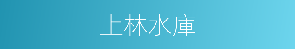 上林水庫的同義詞