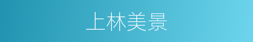 上林美景的同义词