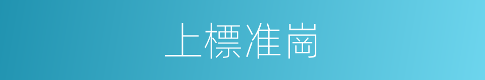 上標准崗的同義詞