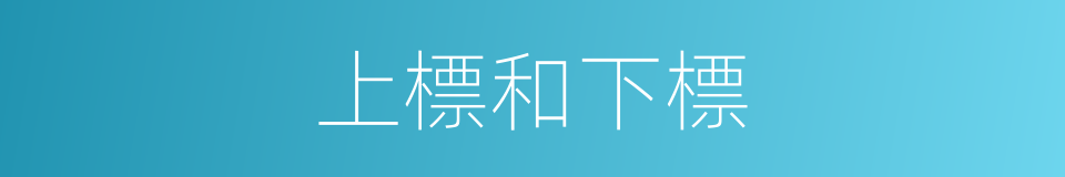 上標和下標的同義詞