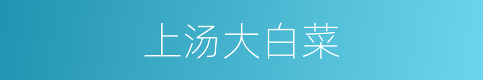 上汤大白菜的同义词
