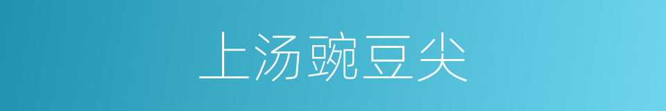 上汤豌豆尖的同义词