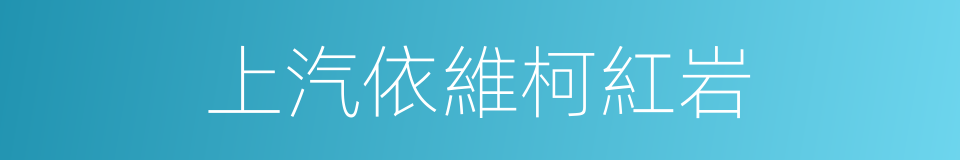 上汽依維柯紅岩的同義詞