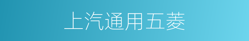 上汽通用五菱的同义词