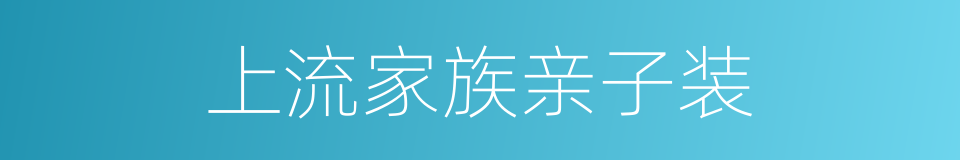 上流家族亲子装的同义词