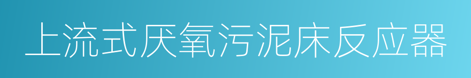 上流式厌氧污泥床反应器的同义词