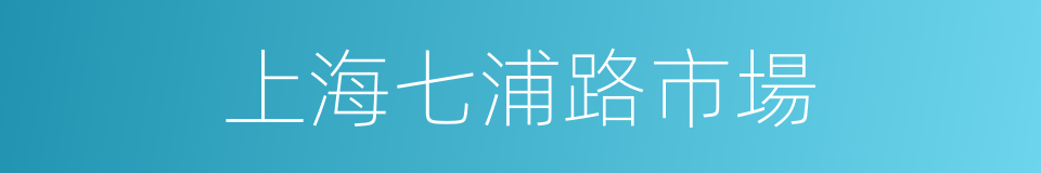 上海七浦路市場的同義詞
