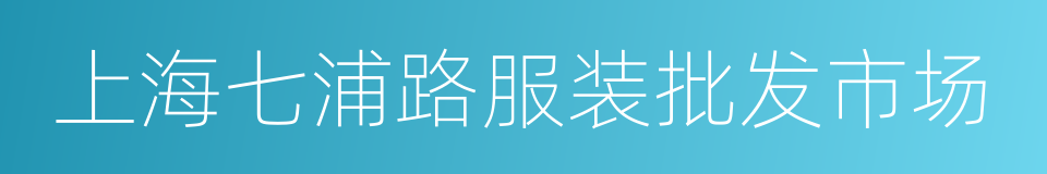 上海七浦路服装批发市场的同义词