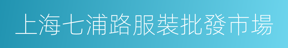 上海七浦路服裝批發市場的同義詞