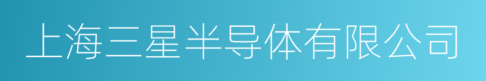 上海三星半导体有限公司的同义词