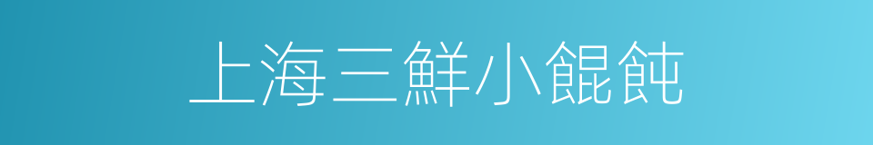 上海三鮮小餛飩的同義詞