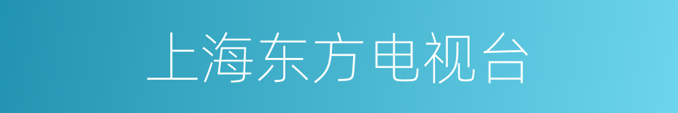 上海东方电视台的同义词