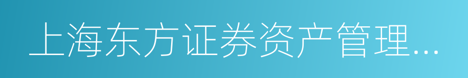 上海东方证券资产管理有限公司的同义词