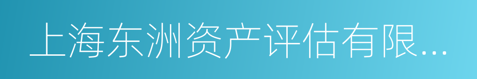 上海东洲资产评估有限公司的同义词