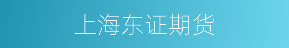 上海东证期货的同义词