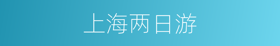 上海两日游的同义词