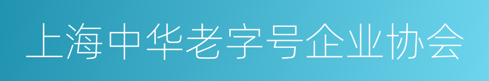 上海中华老字号企业协会的同义词