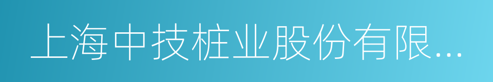 上海中技桩业股份有限公司的同义词