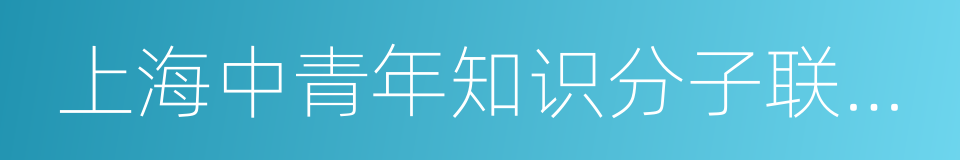 上海中青年知识分子联谊会的同义词