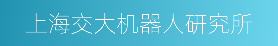 上海交大机器人研究所的同义词