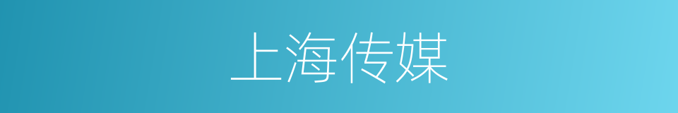 上海传媒的同义词