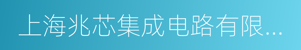 上海兆芯集成电路有限公司的同义词