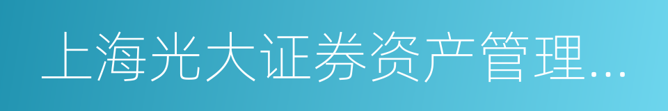 上海光大证券资产管理有限公司的同义词