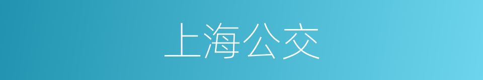 上海公交的同义词