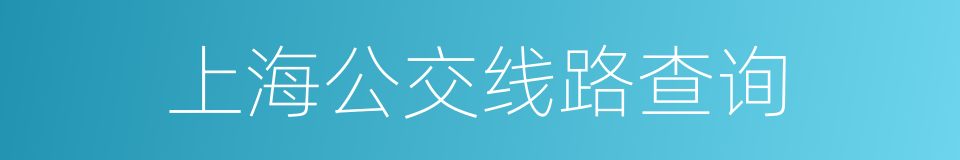 上海公交线路查询的同义词