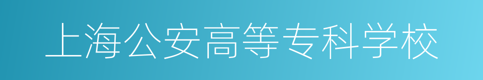 上海公安高等专科学校的同义词