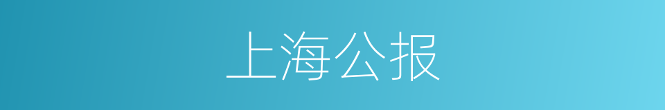 上海公报的同义词