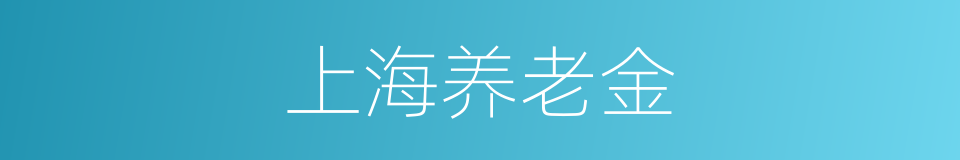 上海养老金的同义词