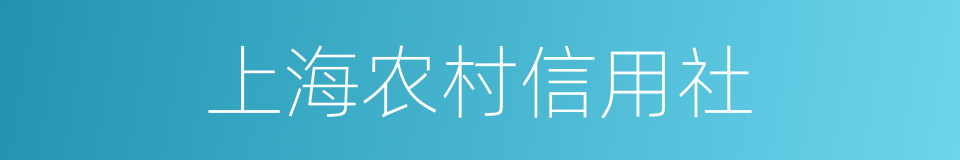 上海农村信用社的同义词