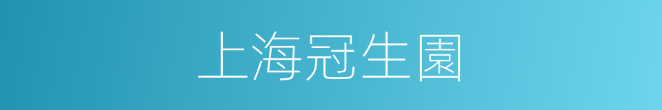 上海冠生園的同義詞