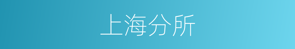 上海分所的同义词