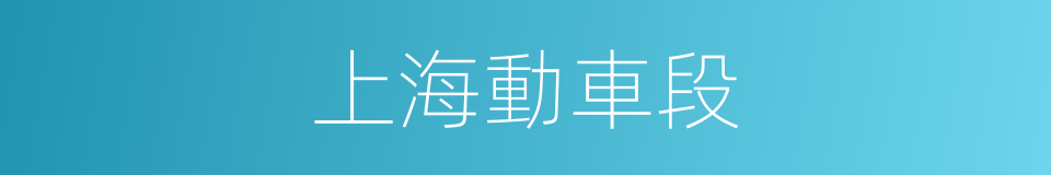 上海動車段的同義詞
