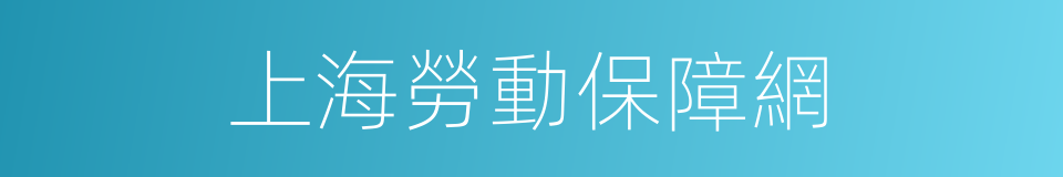 上海勞動保障網的同義詞