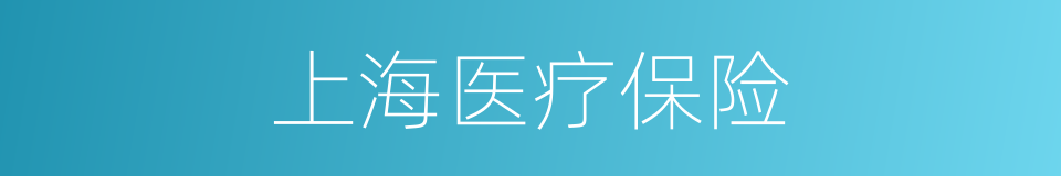 上海医疗保险的同义词