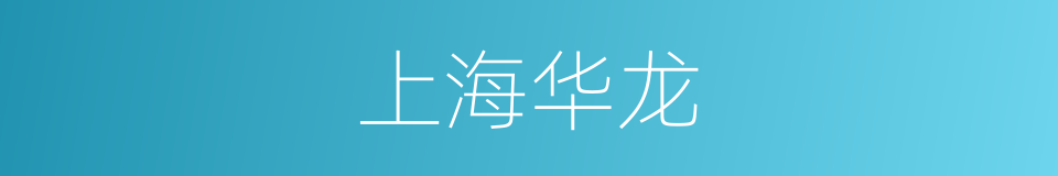 上海华龙的同义词