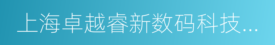 上海卓越睿新数码科技有限公司的同义词