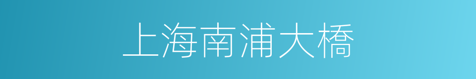 上海南浦大橋的同義詞