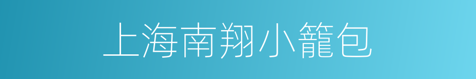 上海南翔小籠包的同義詞
