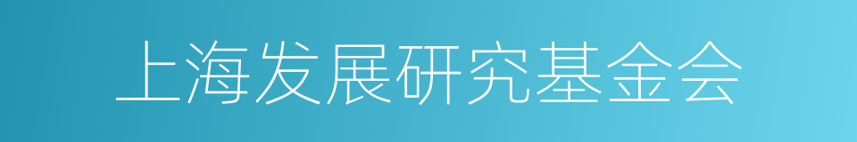 上海发展研究基金会的同义词