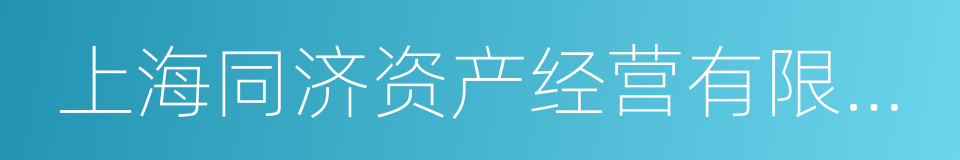 上海同济资产经营有限公司的同义词