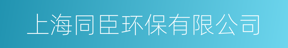 上海同臣环保有限公司的同义词