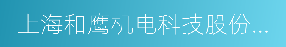 上海和鹰机电科技股份有限公司的同义词