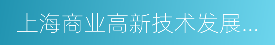 上海商业高新技术发展有限公司的同义词